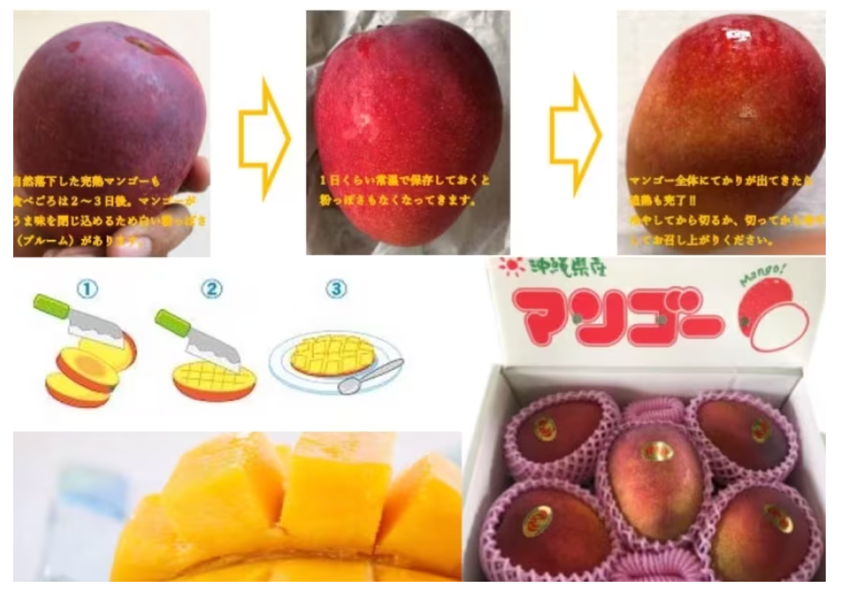 【谷平さま専用】摘果マンゴー 20kg 谷平さま専用】摘果マンゴー - メルカリ